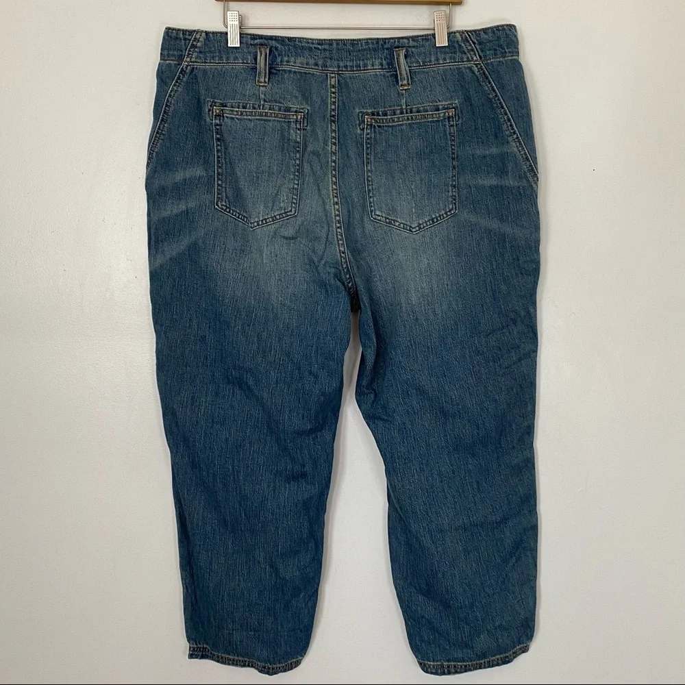 Pilcro The Wanderer Jeans Anthropologie A+ plus size 18w boho patchwork blue - Picture 7 of 12